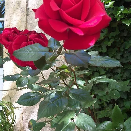 Havre Champetre En De *