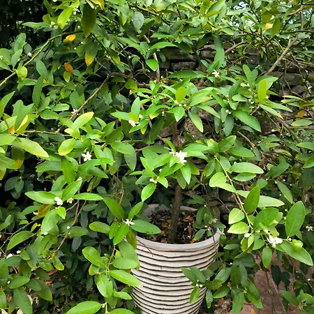 Havre Champetre En De